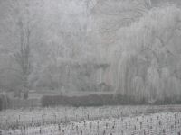 divers bourgogne (15).JPG